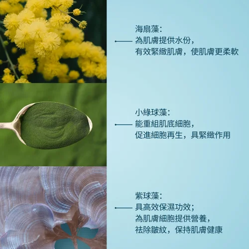 Pro-Collagen Marine Cream 15ml 骨膠原海洋面霜15ml 第 4 張圖片