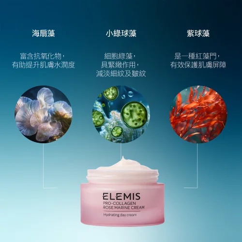Pro-Collagen Rose Marine Cream 50ml 骨膠原玫瑰海洋面霜 50ml 第 3 張圖片