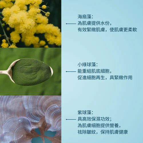 骨膠原海洋面霜套裝 第 4 張圖片