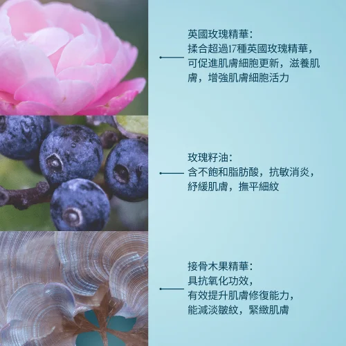 骨膠原玫瑰卸妝膏套裝 買1享6 第 4 張圖片